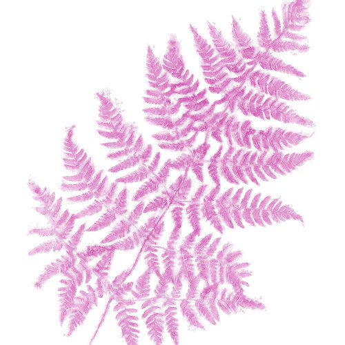 Fresh III Poster Print - Tina Lavoie (24 x 24)