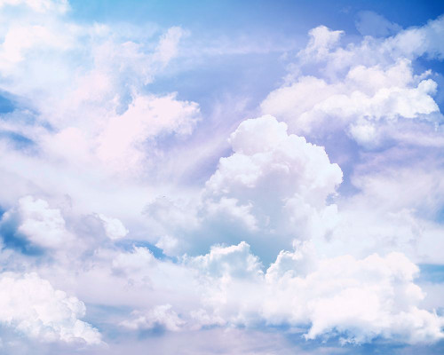 Flying Poster Print - Tina Lavoie (24 x 18)