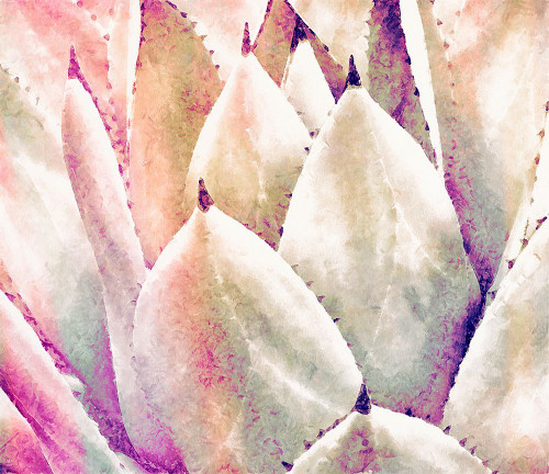 Show Off Poster Print - Tina Lavoie (28 x 24)