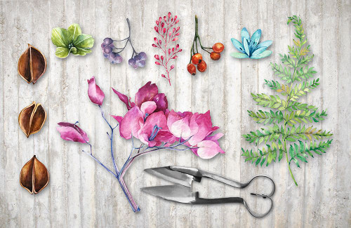 BotanicaII Poster Print - Tina Lavoie (24 x 16)