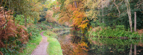 Pathway by canal in Autumn forest Poster Print - Assaf Frank (36 x 14)