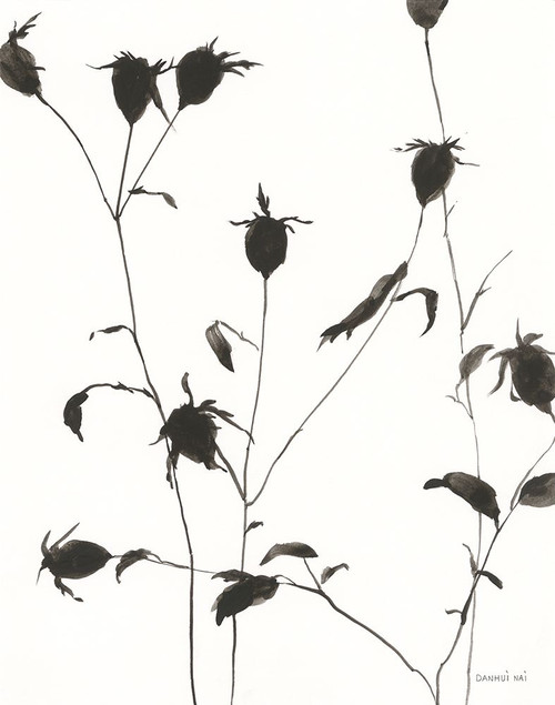 Botanical Shadows II Poster Print - Danhui Nai (24 x 31)