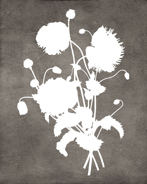 Spirit Poppy III Poster Print - Tina Lavoie (24 x 30)