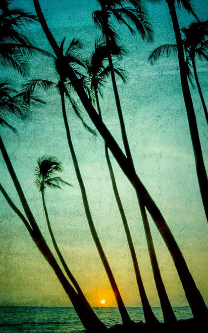 Tilting Palms Poster Print - Don Schwartz (22 x 36)