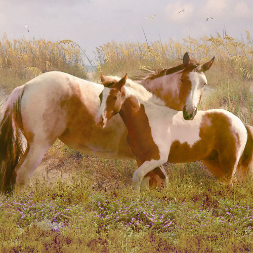 Equine Exuberance Poster Print - Steve Hunziker # VARPDX81979