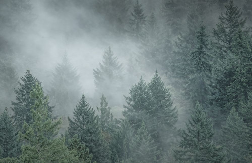 Draped in Clouds Poster Print - Don Schwartz (18 x 12)