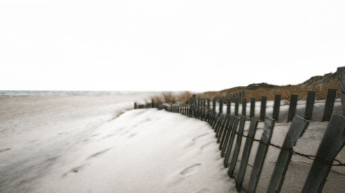 Winter Beach-1 Poster Print - Noah Bay (36 x 20)