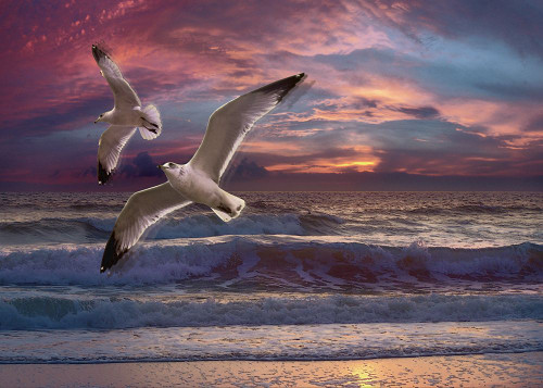 Great Awakening Poster Print - Steve Hunziker (34 x 24)