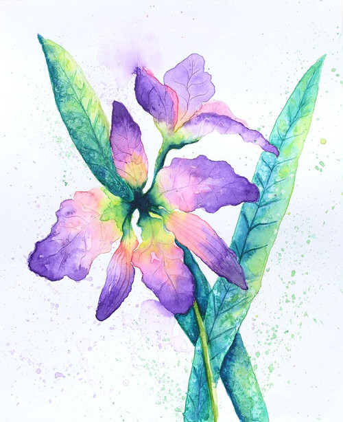 Purple Orchid Poster Print - Martin Wickstrom (19 x 24)