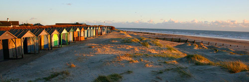 Beach Huts Poster Print - Noah Bay (24 x 8)