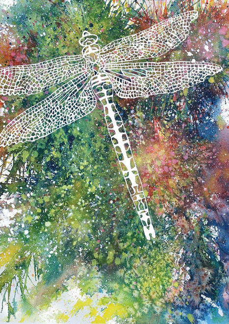 Dragonfly Poster Print - Martin Wickstrom (24 x 34)