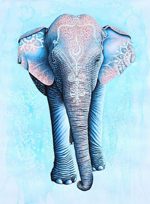 Painted Asian Elephant Poster Print - Martin Wickstrom (9 x 12)