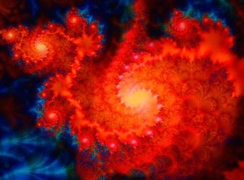 Cosmos Poster Print - Tina Lavoie (24 x 18)