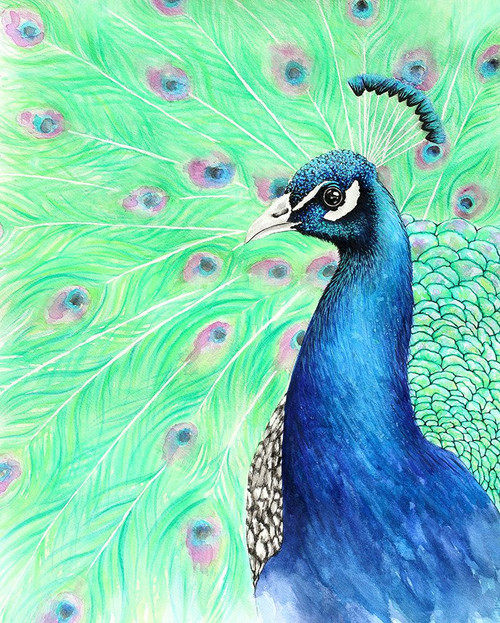 Mr. Peacock Poster Print - Martin Wickstrom (19 x 24)