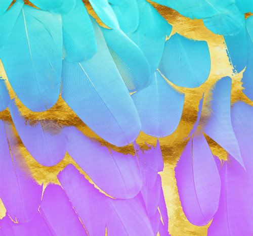 Bird of Paradise Poster Print - Tina Lavoie (12 x 11)