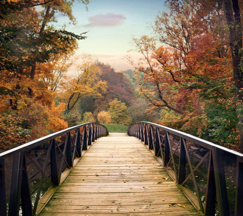 Autumn Encounter Poster Print - Jessica Jenney (27 x 24)