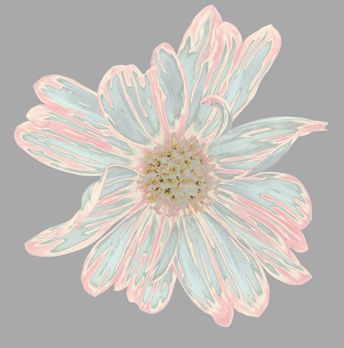 Colorful Flower III Poster Print - Irena Orlov (12 x 12)