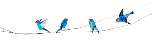 Watercolor Birds 2 Poster Print - Ben Gordon (36 x 12)
