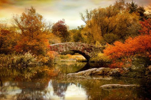 Autumn Epilogue Poster Print - Jessica Jenney (24 x 16)