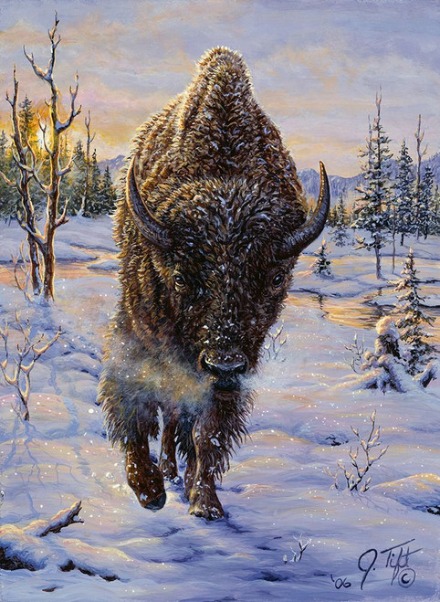 Intimidation Poster Print - Jeff Tift (12 x 16)