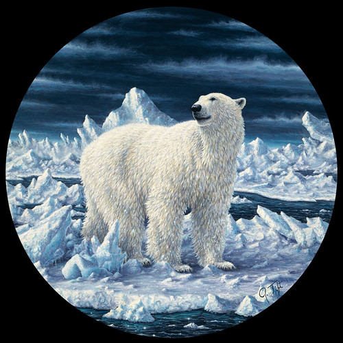 Polar Bear Poster Print - Jeff Tift (24 x 24)