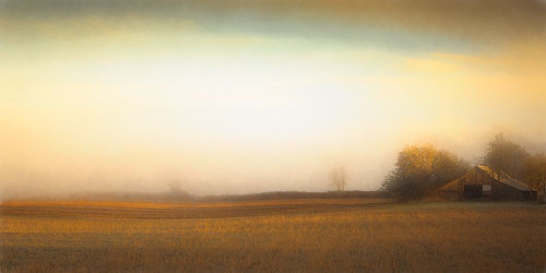 Barn on a Foggy Morning Poster Print - Don Schwartz (24 x 12)