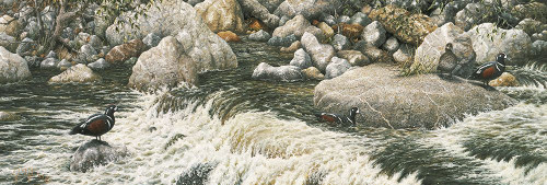 Swift Water Poster Print - Jeff Tift (36 x 12)