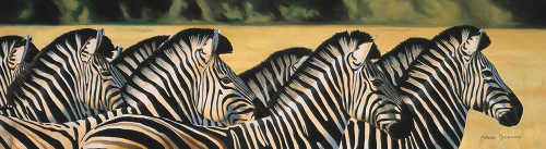 Zebras Poster Print - Graeme Stevenson (24 x 7)