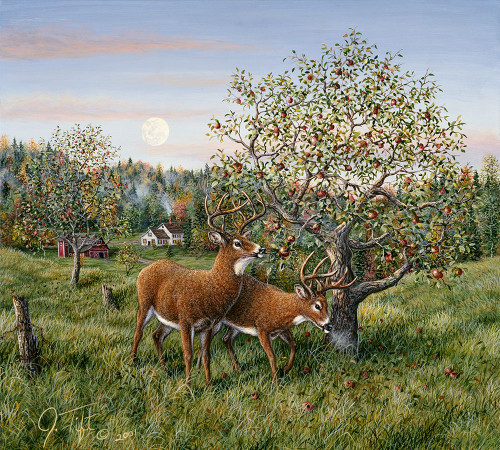Whitetails Under The Apple Tree Poster Print - Jeff Tift (12 x 11)