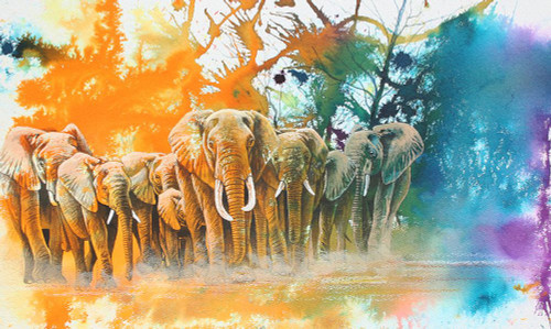 Elephant Tribe Poster Print - Graeme Stevenson (36 x 21)