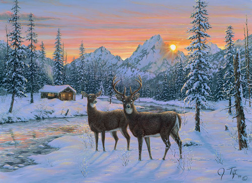 Whitetail And Cabin Poster Print - Jeff Tift (24 x 17)
