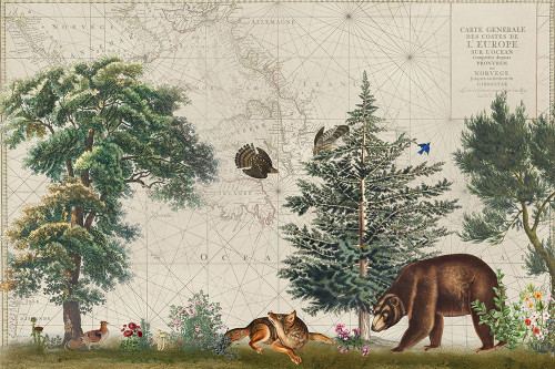 Nordic Woods 5 Poster Print - Andrea Haase (24 x 16)