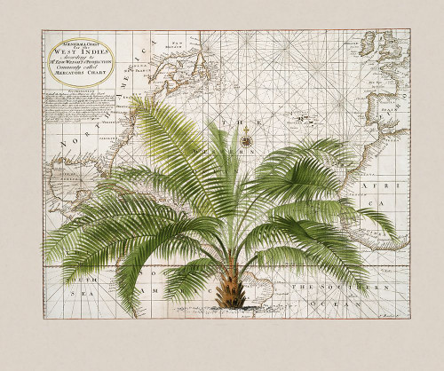 Tropical Empire No1 Poster Print - Andrea Haase (29 x 24)