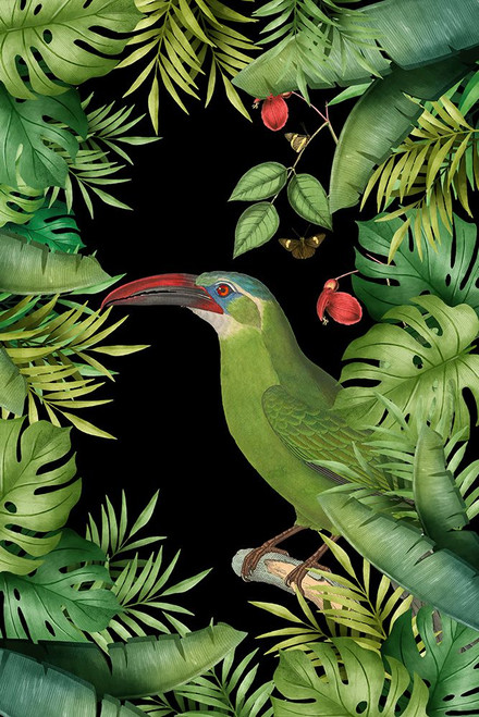 Jungle With Green Toucan Poster Print - Andrea Haase (12 x 18)