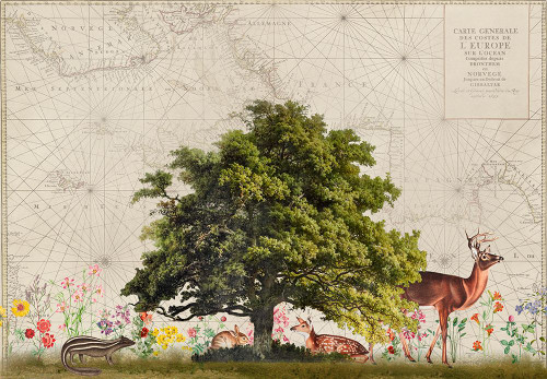 Nordic Woods No2 Poster Print - Andrea Haase (35 x 24)