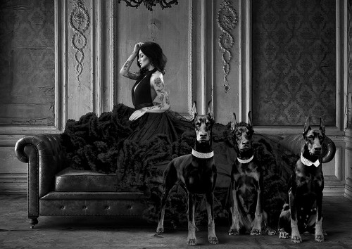 Dark Lady and her Pets Poster Print - Julian Lauren (34 x 24)