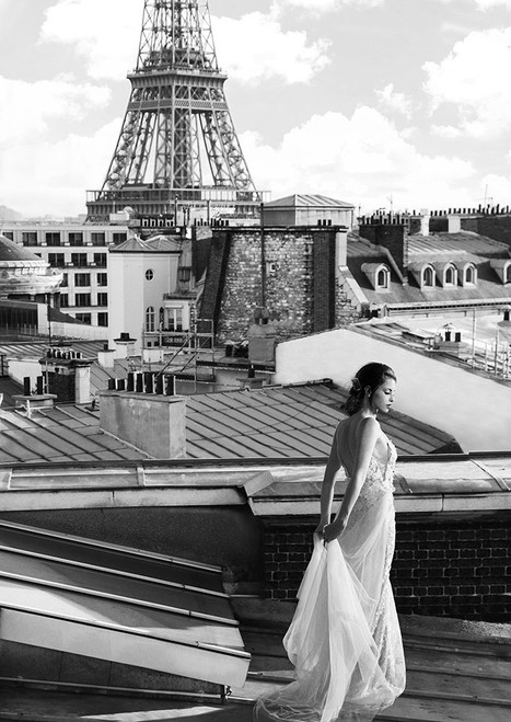 On the roofs in Paris Poster Print - Julian Lauren (24 x 34)
