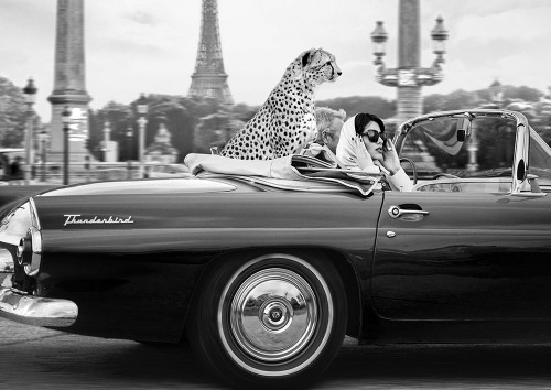 In Paris Poster Print - Julian Lauren (24 x 17)