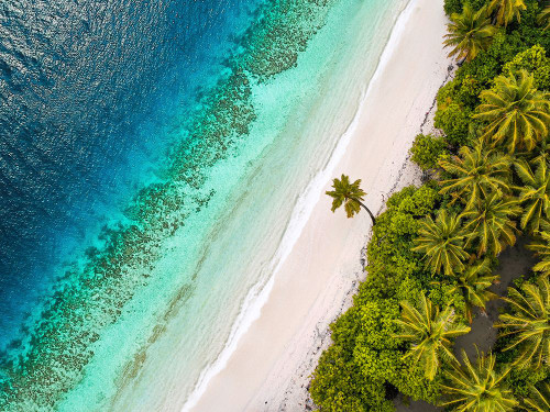 Tropical Beach, Aerial View Poster Print - Images Pangea (24 x 18)