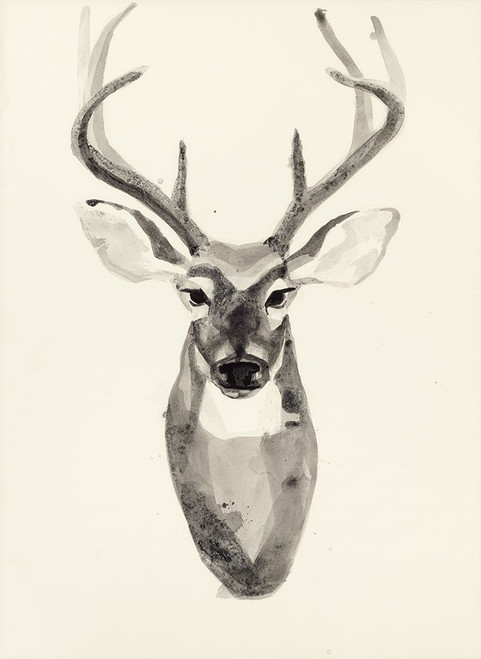 Watercolor Deerhead 2 Poster Print - Ben Gordon (24 x 34)