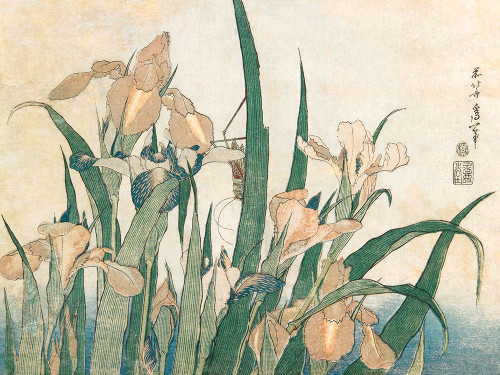 Irises and Grasshopper - 1833-1834 Poster Print - Katsushika Hokusai (24 x 18)