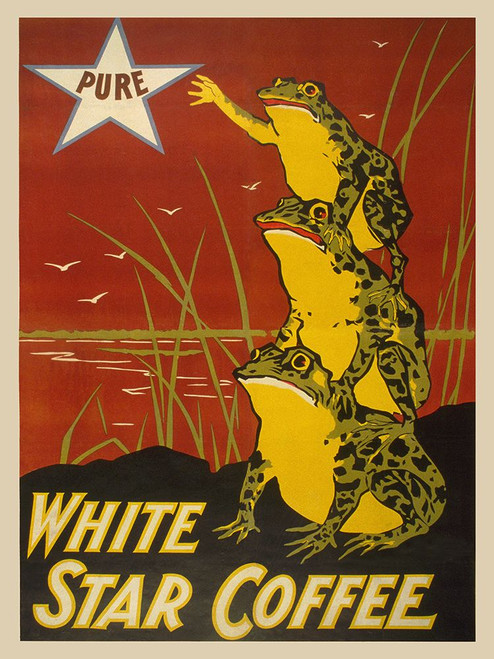 White Star Coffee, 1899 Poster Print - Anonymous (9 x 12)