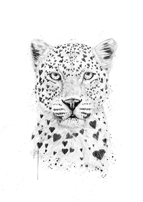 Lovely leopard Poster Print - Balazs Solti (24 x 34)