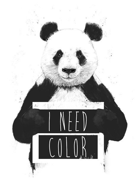 I need color Poster Print - Balazs Solti (12 x 17)