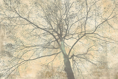 Below My Tree II Poster Print - Alessio Aprile # VARPDX3AI6377
