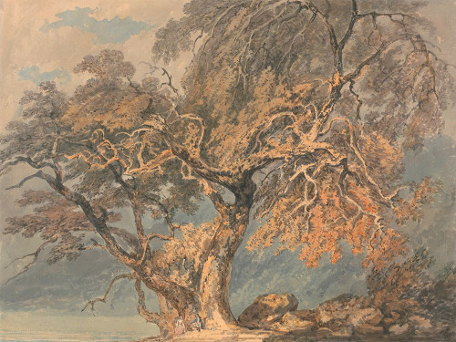 A Great Tree Poster Print - William Turner (24 x 18)