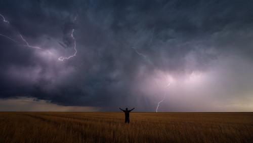 Zeus Poster Print - Miles Morgan (36 x 20)