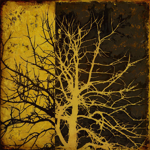 Memoirs 2 Poster Print - Debbie Angell (24 x 24)