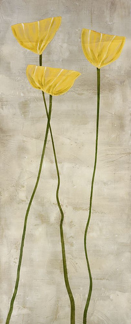 Amarillo Alto Poster Print - David Dauncey (10 x 24)