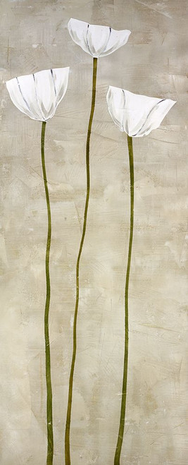 Blanco Alto Poster Print - David Dauncey (14 x 36)